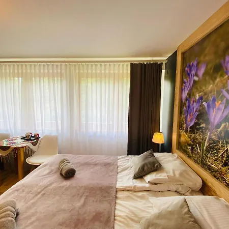 Lesna Homestay Zakopane
