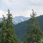 Leśna Zakopane