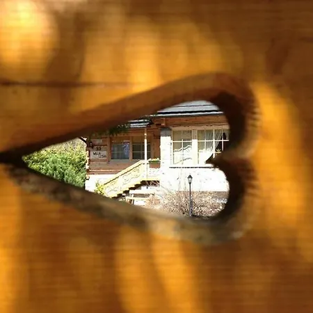 民宿 Lesna 扎科帕内