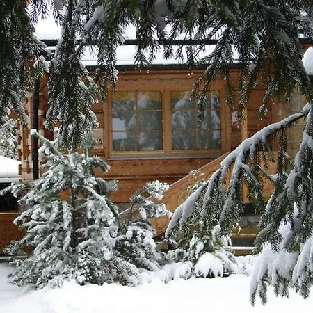 Lesna * 扎科帕内